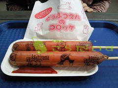 北海道旅行 旭山動物園