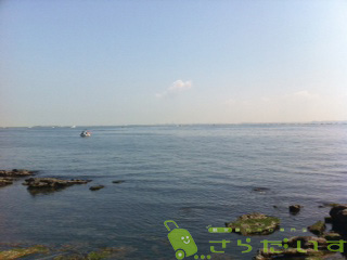 海