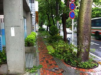 沖縄 台風 旅行