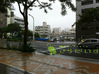 沖縄 台風 旅行