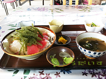 沖縄 古宇利島 JALCM