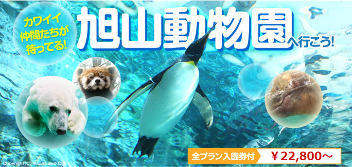 旭山動物園ツアー特集