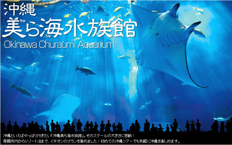 沖縄　美ら海水族館