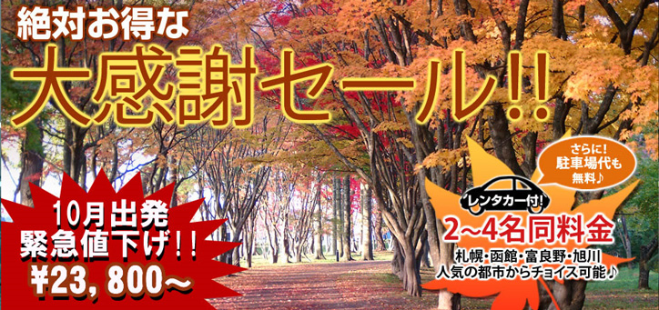 10～11月出発を緊急値下げ！レンタカーで人気の都市を巡る♪絶対お得な大感謝セール